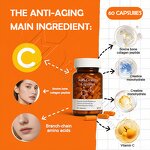 Collagen Peptides Capsules Manufacturer - Anti-Wrinkle & Firming OEM