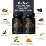 Shilajit Capsules Factory - Custom Packaging & Formula OEM