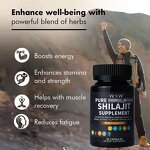 Shilajit Capsules Manufacturer - Private Label Male Vitality OEM