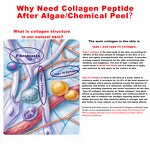 Collagen Essence Factory - Extender 10ML Self Healing Ability