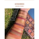 Shadow Palette Manufacturer - Mattes Shimmer High Pigment
