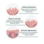 Scar Serum Factory - Facial Body Moisturizing Repair