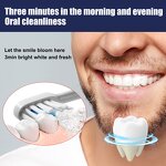 Bamboo Charcoal Toothpaste Factory - Deep Whitening Clean