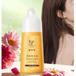 Dental Glue Factory - Plastic Temporary Filling Holes