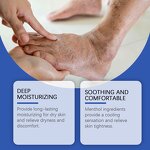 Centella Facial Cream Supplier - Moisturizing Bulk Wholesale