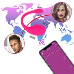 Remote Vibrator Factory - Wireless Control Custom OEM