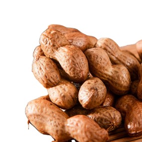 Boiled Peanut Factory - OEM Salted Kernel Snack