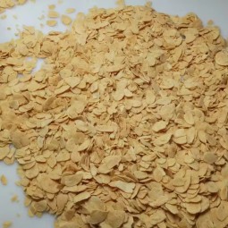 Fried Garlic Factory - OEM Roasted Garlic Cheaper