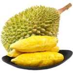 冻干榴莲源头工厂 - FD水果块代工