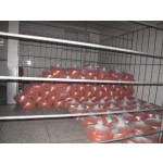 干胡萝卜源头工厂 - 工厂供应优惠代工
