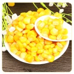 玉米罐头源头工厂 - 甜味速食代工