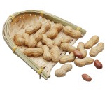 烤花生源头工厂 - 烘烤花生仁零食代工