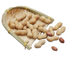 烤花生源头工厂 - 烘烤花生仁零食代工