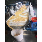 苹果块干生产厂家 - 果茶颗粒代工