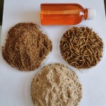 干黄粉虫源头工厂 - 微波干燥油代工
