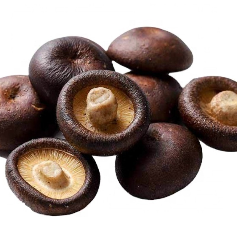 Vacuum Fried Shiitake Manufacturer - OEM VF Mushroom Whole