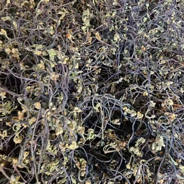 脱水蔬菜生产厂家 - 风干蕨菜代工