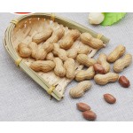 烤花生源头工厂 - 带壳9/11代工