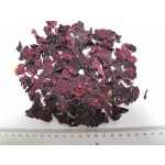 玫瑰花茶源头工厂 - 黑红花瓣代工