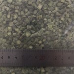 冻干芦笋生产厂家 - FD颗粒切段代工