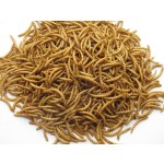 干黄粉虫源头工厂 - 微波干燥油代工
