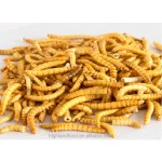干黄粉虫生产厂家 - 宠物食品供应代工