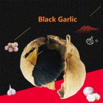 黑蒜生产厂家 - 发酵健康食品代工