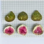 冻干无花果源头工厂 - FD水果片代工