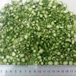 冻干芦笋生产厂家 - FD颗粒切段代工