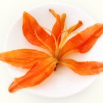 干百合花源头工厂 - 中国花茶代工