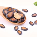 烤瓜子生产厂家 - 炸烤零食代工