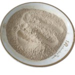 黄粉虫粉生产厂家 - 脱脂虫粉代工