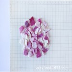 冻干洋葱源头工厂 - FD速食蔬菜代工