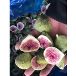 冻干无花果源头工厂 - FD水果片代工
