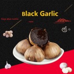 黑蒜生产厂家 - 发酵健康食品代工