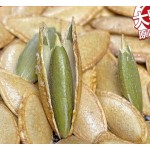 烤南瓜籽生产厂家 - 籽仁零食代工