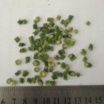 冻干芦笋生产厂家 - FD颗粒切段代工