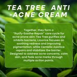 Tea Tree Cream Factory - Private Label LANORIENT Organic