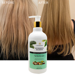 Shampoo Set Factory - Private Label Hair Care