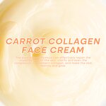 Carrot Cream Factory - Private Label Korean Skin
