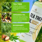 Luxury Skincare Products Factory - Private Label Korean Vitamin