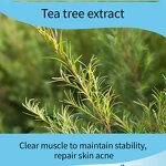 Tea Tree Mask Factory - Hot Organic Natural 0.5kg