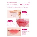 Hydrating Lip Stickers Factory - Own Brand Travel Size