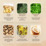 Ginger Shampoo Factory - OEM/ODM 750ml Hair Care