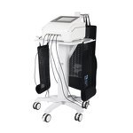 LED Therapy Machine Supplier - 5d Maxlipo Body Sculpting