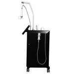 RF Microneedling Equipment Factory - 2 in 1 Gold Microneedle