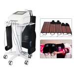 LED Therapy Machine Supplier - 5d Maxlipo Body Sculpting