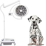 Veterinary Surgery Light Manufacturer - YCLED520L Good Price
