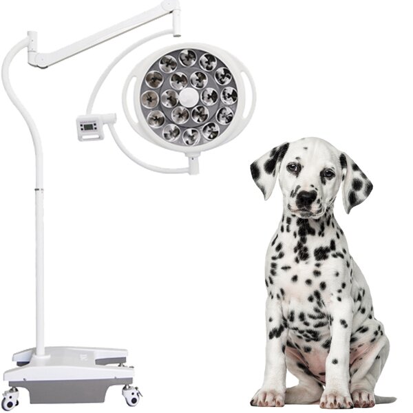 Veterinary Surgery Light Manufacturer - YCLED520L Good Price