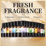 Black Ice Aromatherapy Factory - Commercial Water-Soluble